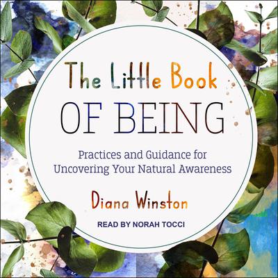 The Little Book of Being: Practices and Guidance for Uncovering Your Natural Awareness Audiobook, by Diana Winston