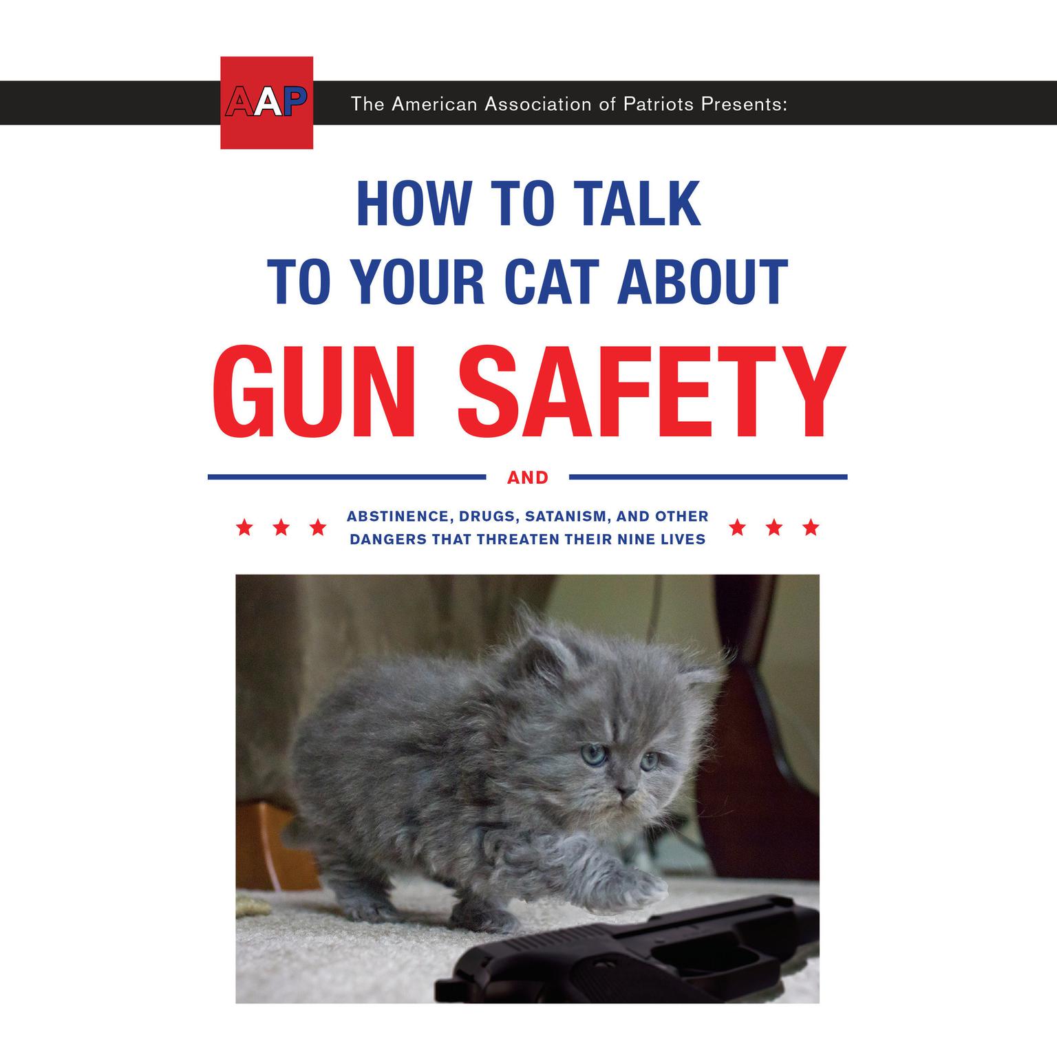 How to Talk to Your Cat About Gun Safety: And Abstinence, Drugs, Satanism, and Other Dangers That Threaten Their Nine Lives Audiobook, by Zachary Auburn