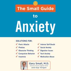 The Small Guide to Anxiety Audiobook, by Gary Small