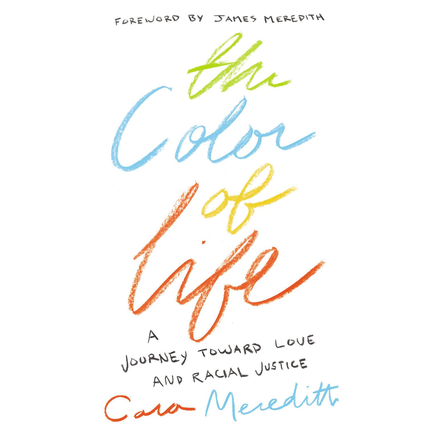 The Color of Life: A Journey toward Love and Racial Justice Audiobook, by Cara Meredith