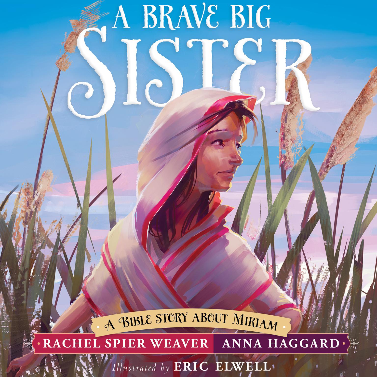 A Brave Big Sister: A Bible Story About Miriam Audiobook, by Rachel Spier Weaver