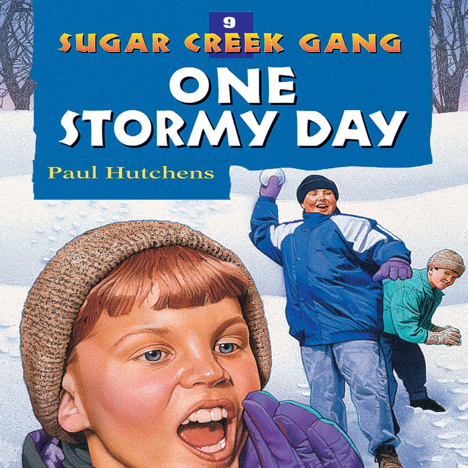 One Stormy Day Audiobook, by Paul Hutchens
