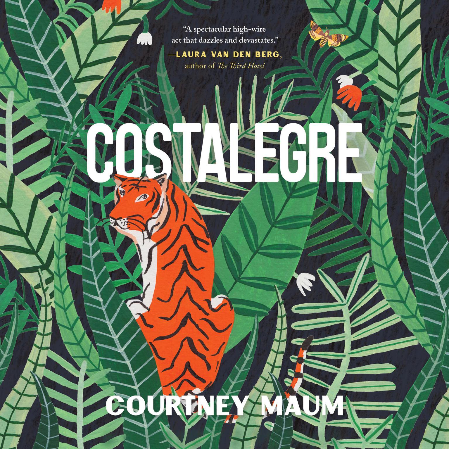Costalegre Audiobook, by Courtney Maum