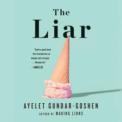 The Liar Audiobook, by Ayelet Gundar-Goshen