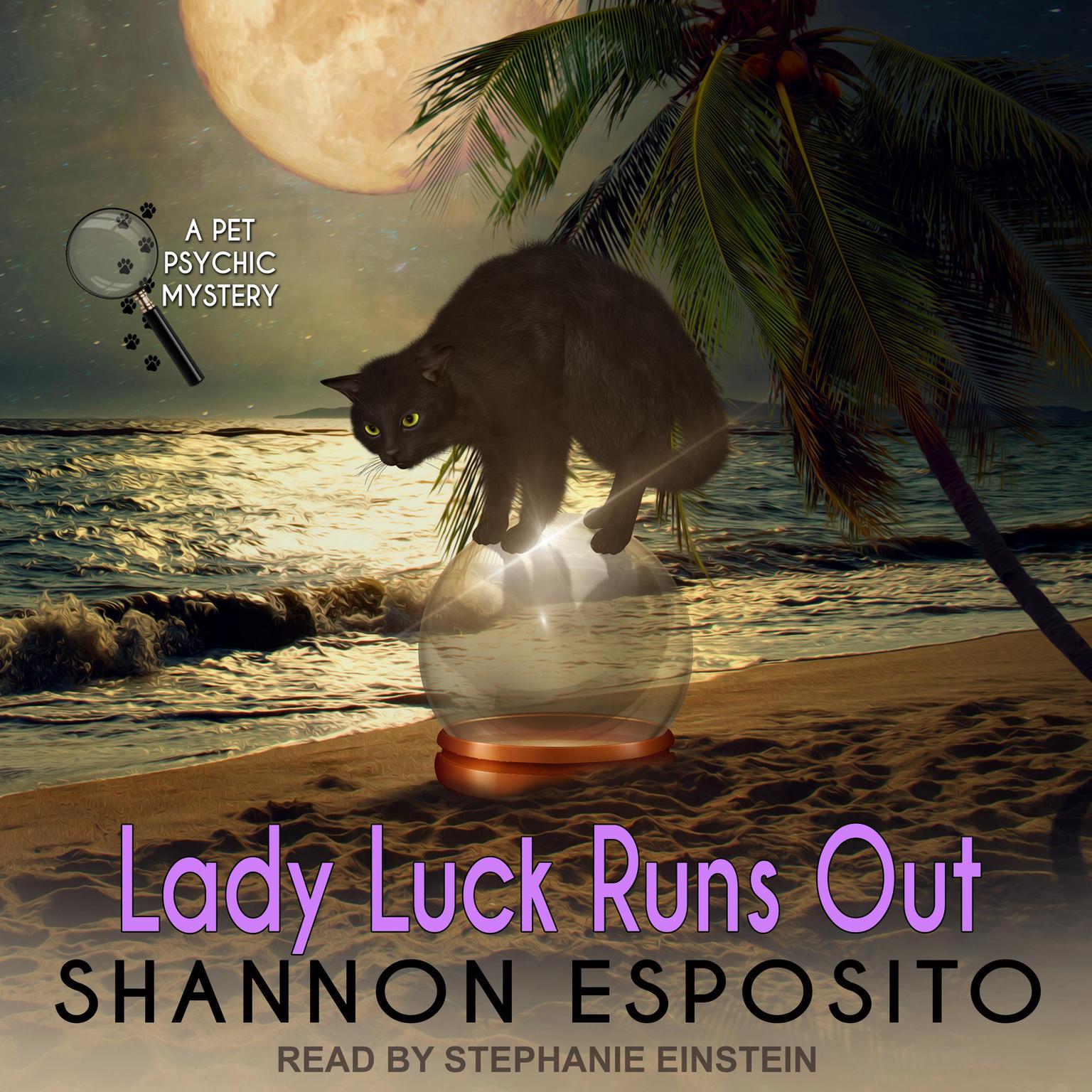 Lady Luck Runs Out Audiobook, by Shannon Esposito