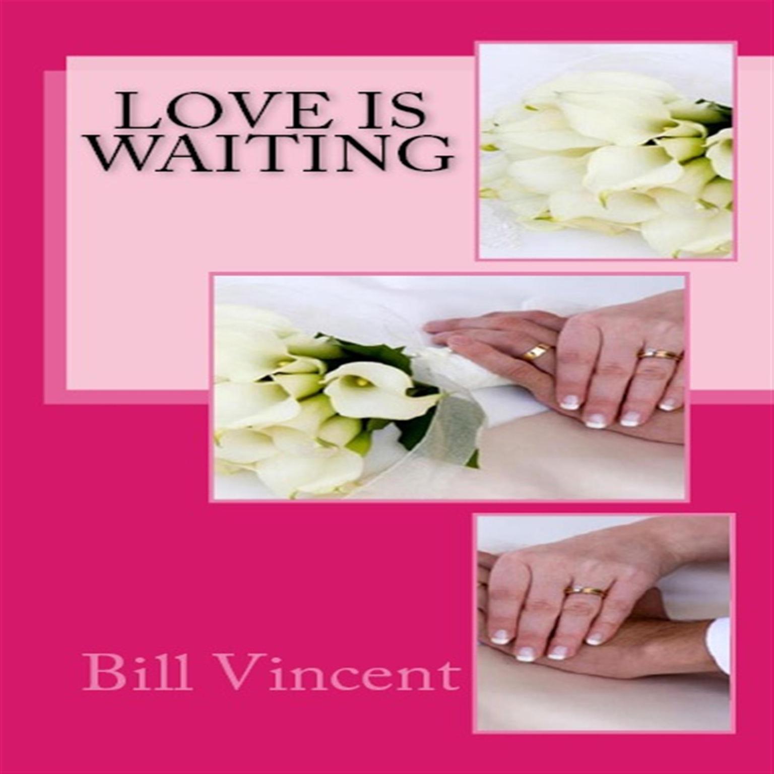 Love is Waiting: Dont Let Love Pass You By Audiobook, by Bill Vincent