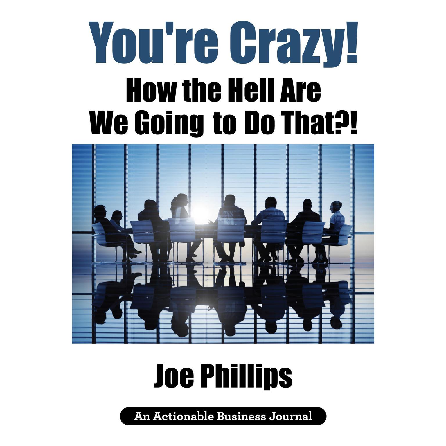 Youre Crazy! How the Hell Are We Going to Do That?! Audiobook, by Joe Phillips