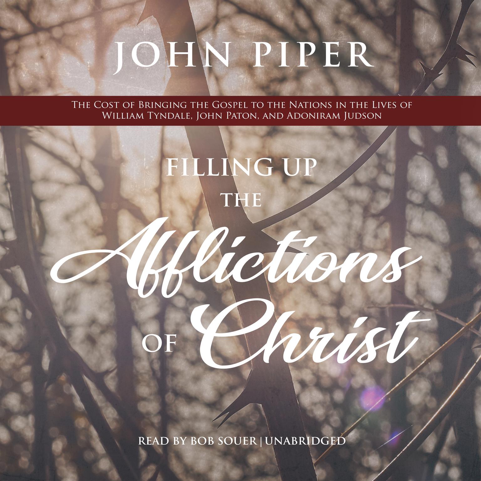 Filling Up the Afflictions of Christ: The Cost of Bringing the Gospel to the Nations in the Lives of William Tyndale, John Paton, and Adoniram Judson Audiobook, by John Piper