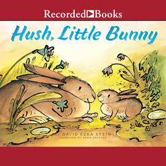 Hush, Little Bunny Audiobook, by David Ezra Stein