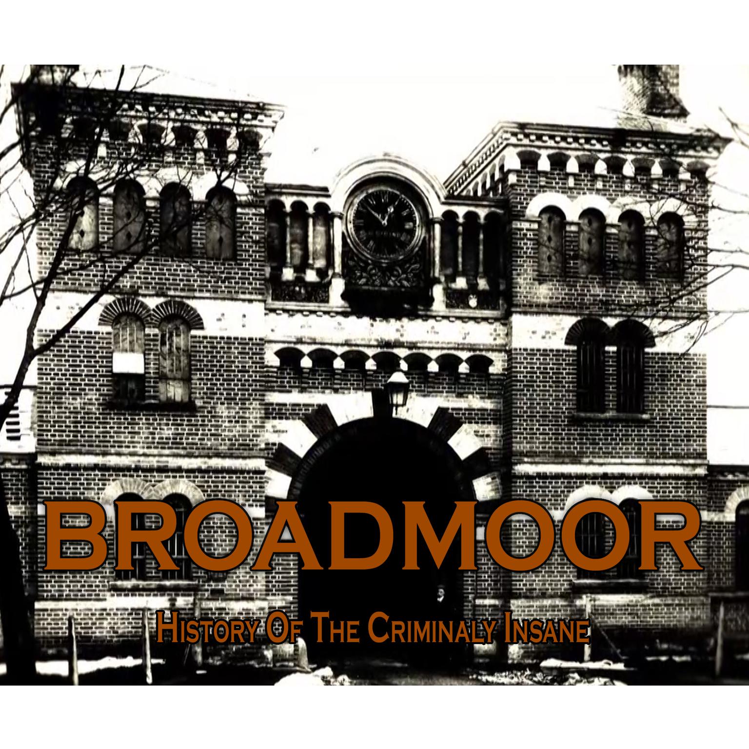 Broadmoor: A History of the Criminally Insane Audiobook, by David Wilson