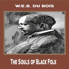The Souls of Black Folk Audiobook, by Ronald Riley