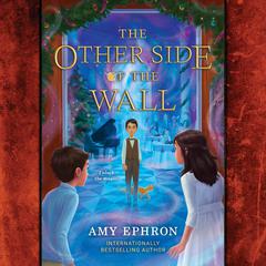 The Other Side of the Wall Audiobook, by Amy Ephron