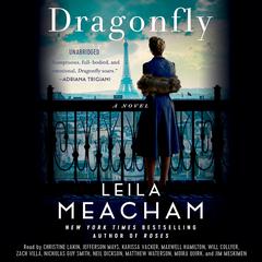 Dragonfly Audiobook, by 