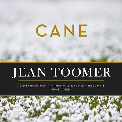 Cane Audiobook, by Jean Toomer