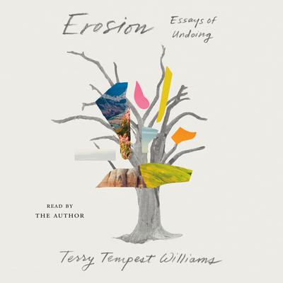 Erosion: Essays of Undoing Audiobook, by 