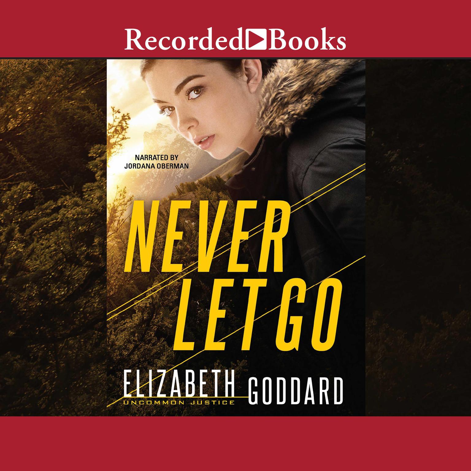 Never Let Go Audiobook, by Elizabeth Goddard