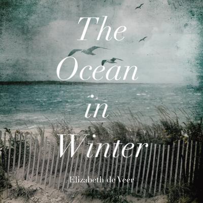 The Ocean in Winter Audiobook, by Elizabeth de Veer
