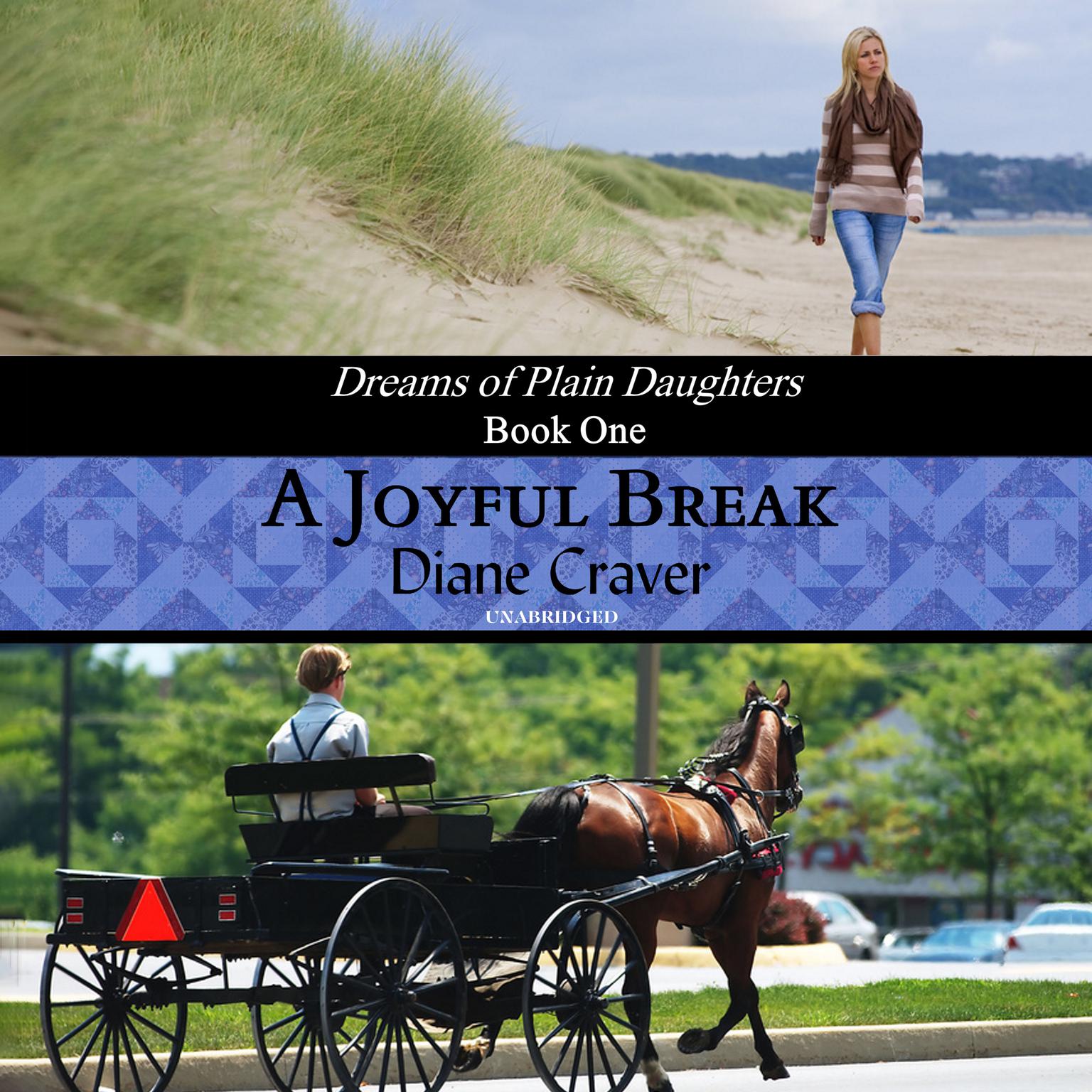 A Joyful Break Audiobook, by Diane Craver