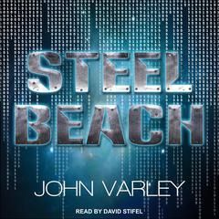 Steel Beach Audiobook, by 