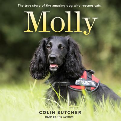 Molly: The True Story of the Amazing Dog Who Rescues Cats: The True Story of the Amazing Dog Who Rescues Cats Audiobook, by Colin Butcher