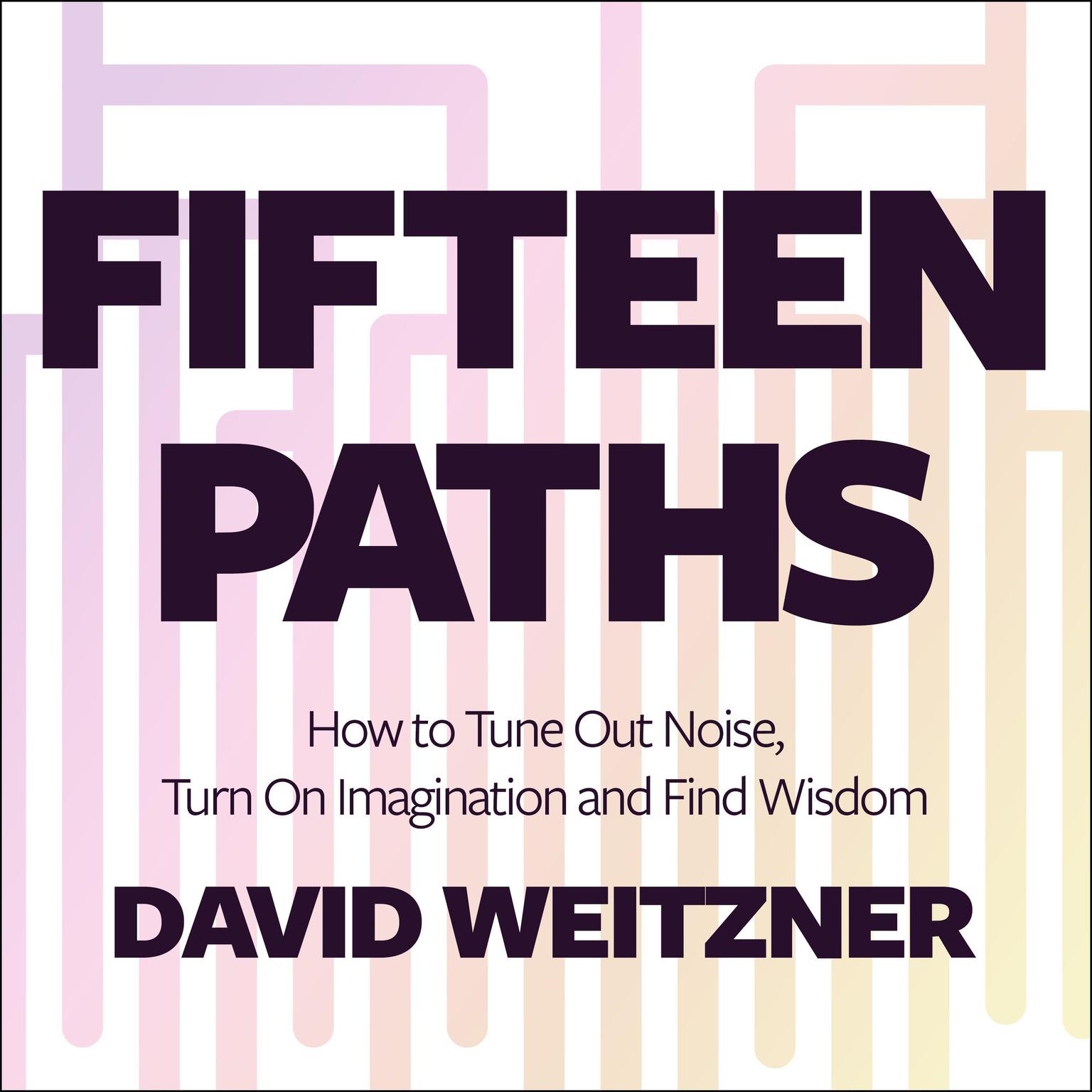 Fifteen Paths: How to Tune Out Noise, Turn On Imagination and Find Wisdom Audiobook, by David Weitzner