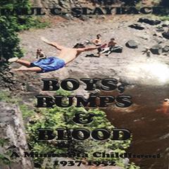 Boys, Bumps and Blood Audiobook, by Paul C. Slayback
