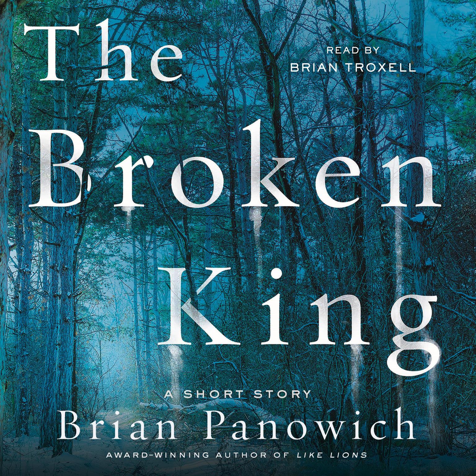 The Broken King: A McFalls County Story Audiobook, by Brian Panowich