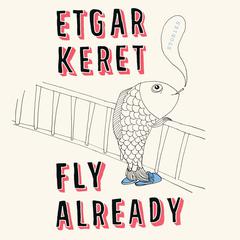 Fly Already: Stories Audiobook, by Etgar Keret