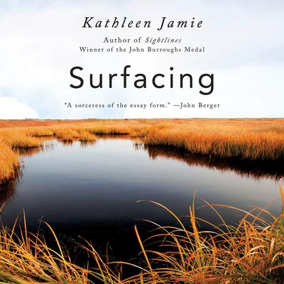 Surfacing Audiobook, by Kathleen Jamie