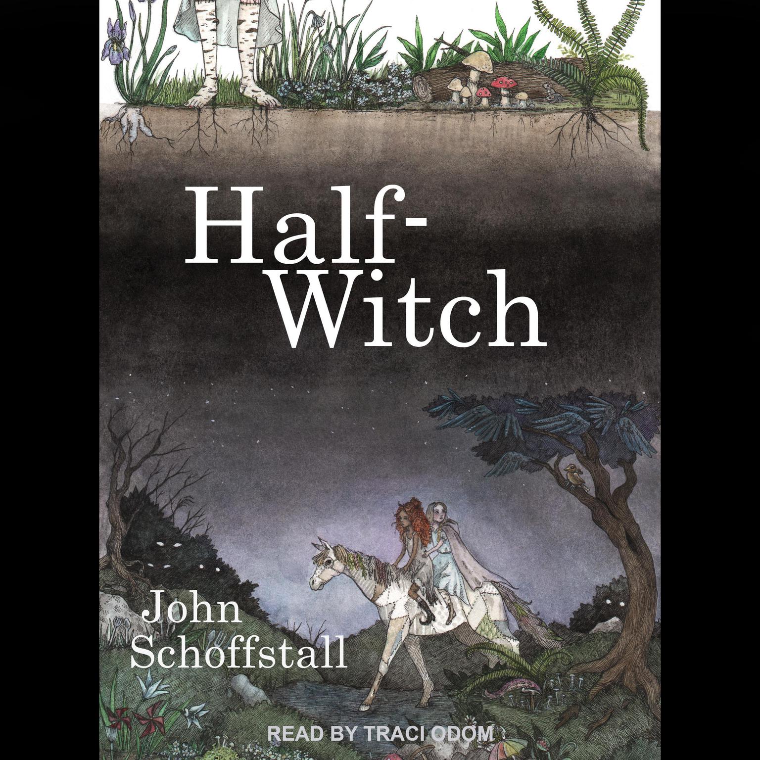 Half-Witch: A Novel Audiobook, by John Schoffstall