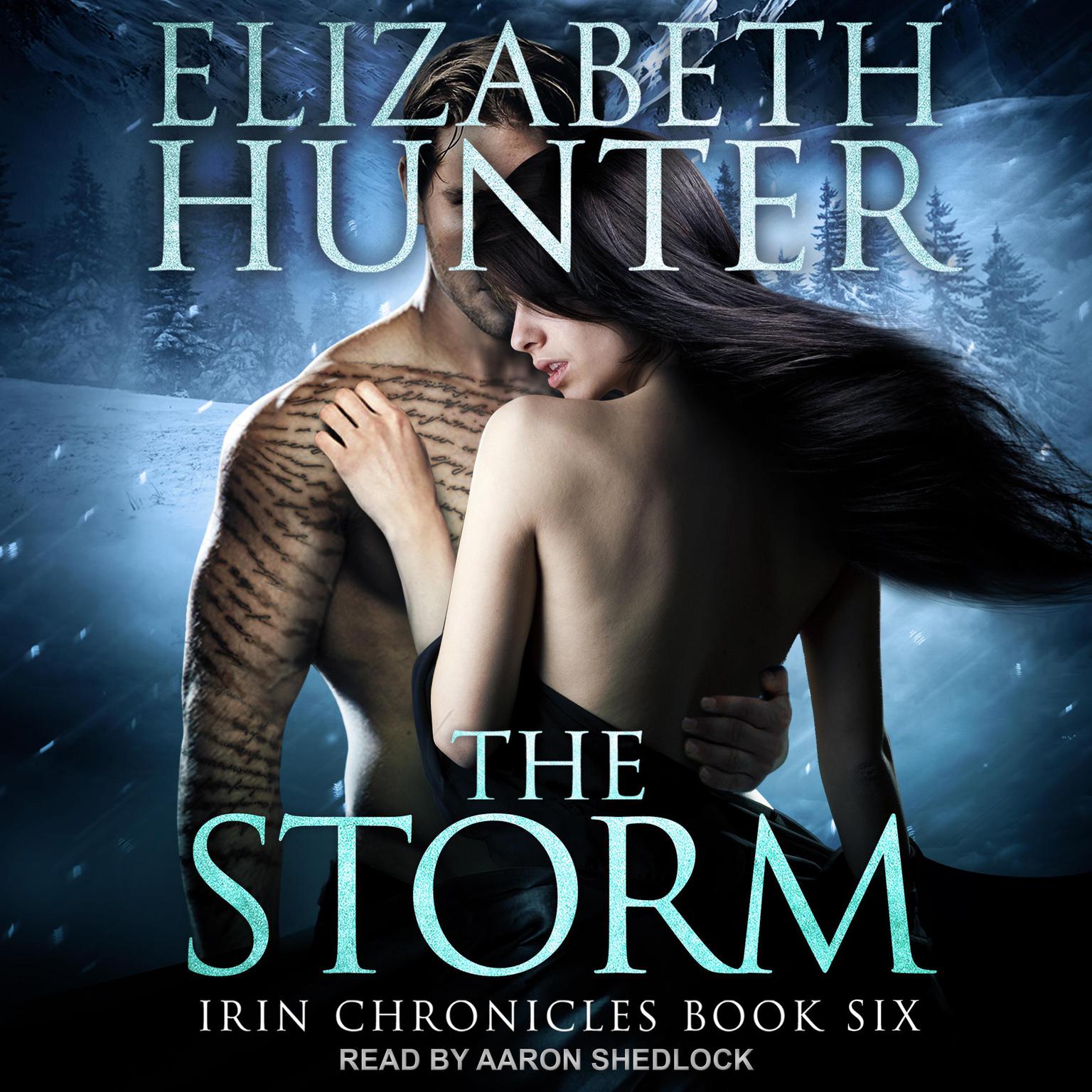 The Storm Audiobook, by Elizabeth Hunter