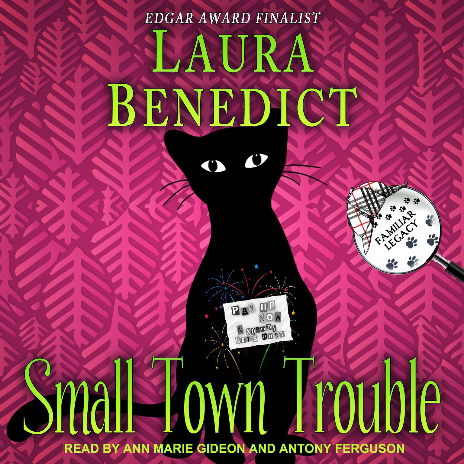 Small Town Trouble Audiobook, by Laura Benedict