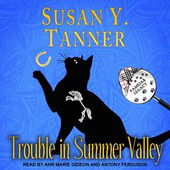 Trouble in Summer Valley Audiobook, by Susan Y. Tanner