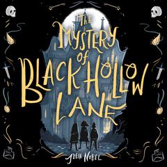 The Mystery of Black Hollow Lane Audiobook, by 