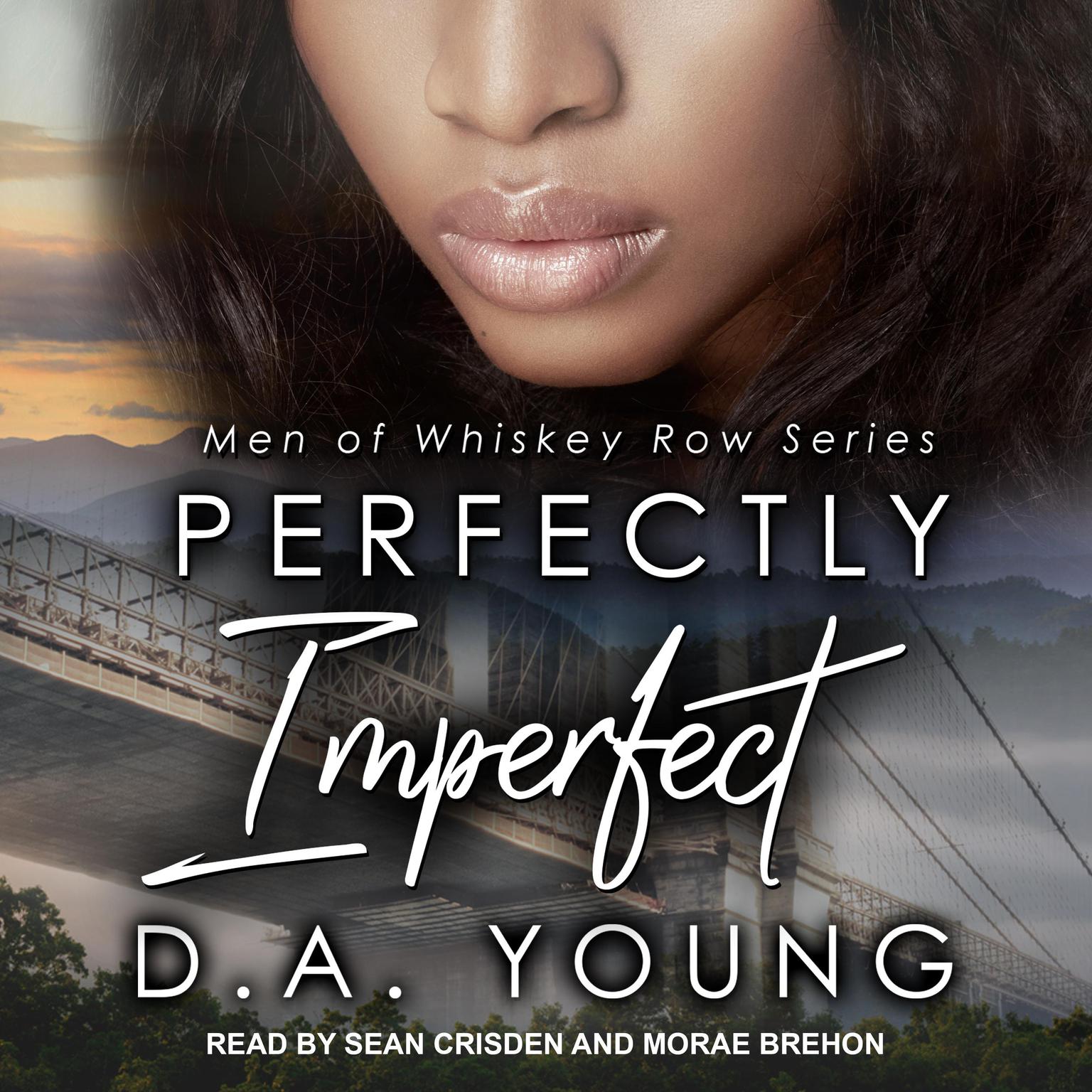 Perfectly Imperfect Audiobook, by D. A. Young