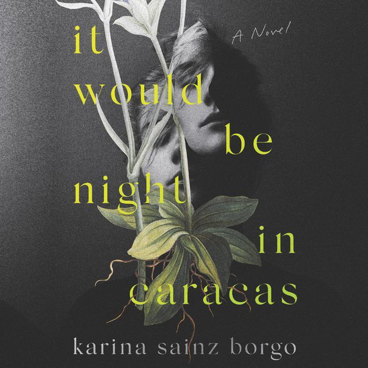 It Would Be Night in Caracas Audiobook, by Karina Sainz Borgo