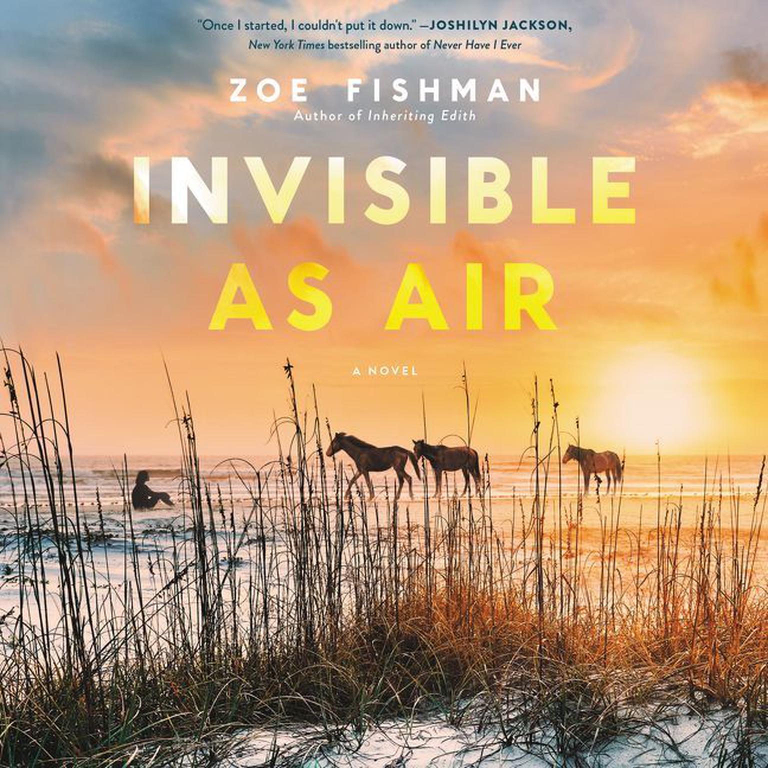 Invisible as Air: A Novel Audiobook, by Zoe Fishman