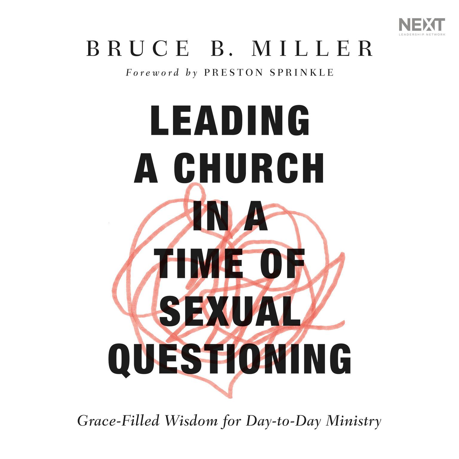 Leading a Church in a Time of Sexual Questioning: Grace-Filled Wisdom for Day-to-Day Ministry Audiobook, by Bruce B. Miller