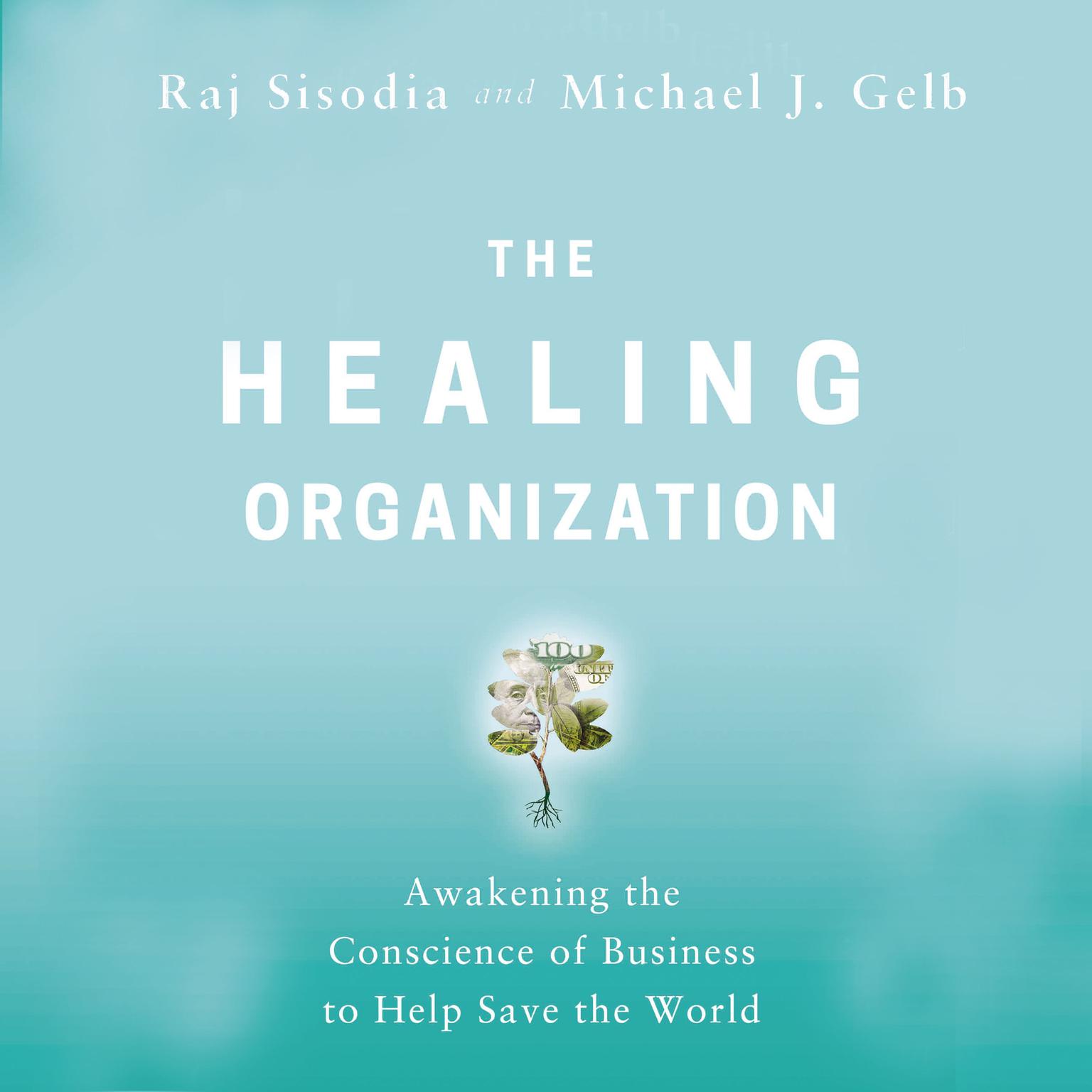 The Healing Organization: Awakening the Conscience of Business to Help Save the World Audiobook, by Raj Sisodia