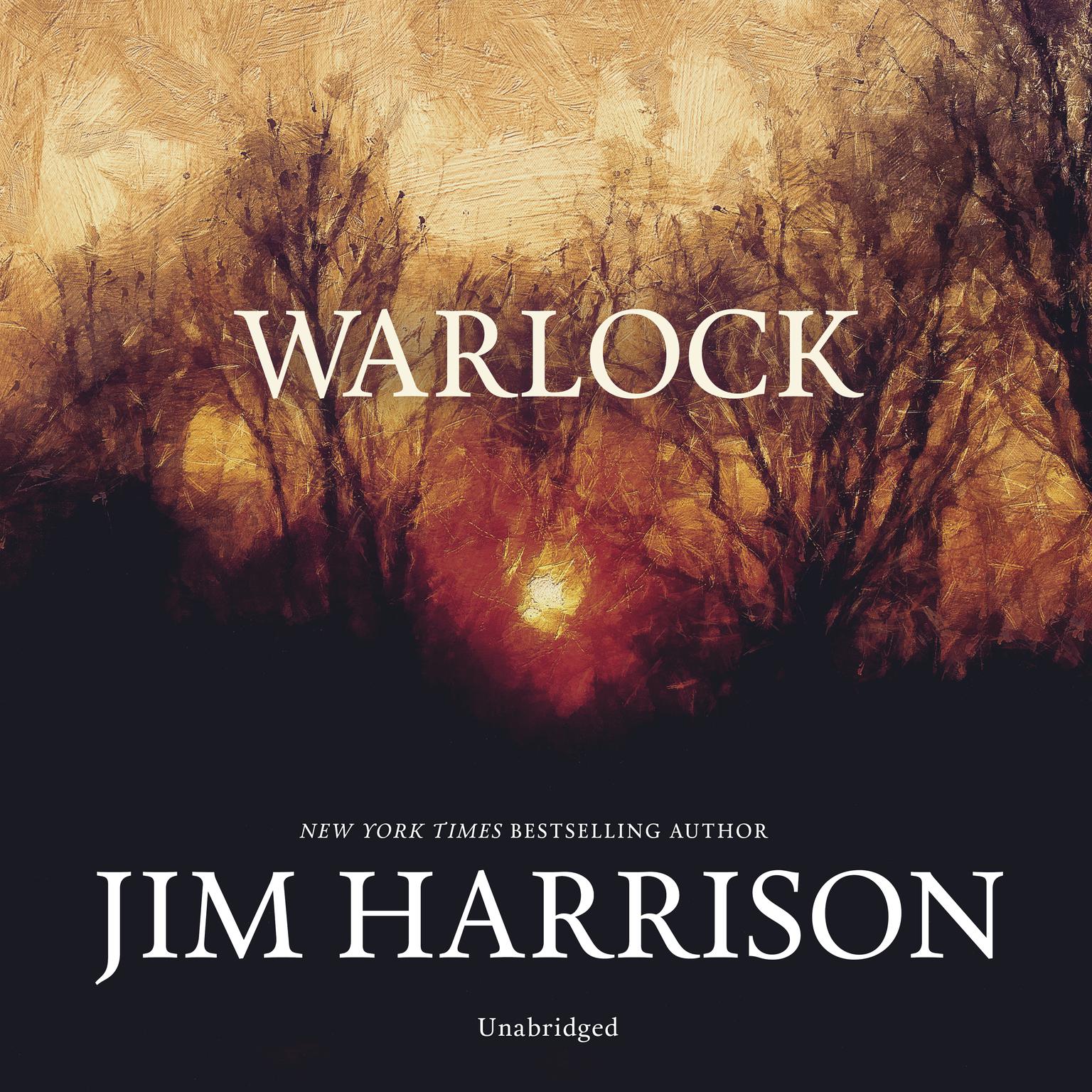Warlock Audiobook, by Jim Harrison