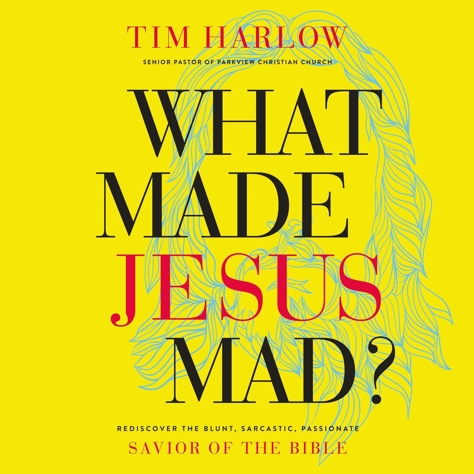 What Made Jesus Mad?: Rediscover the Blunt, Sarcastic, Passionate Savior of the Bible Audiobook, by Tim Harlow