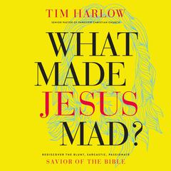 What Made Jesus Mad?: Rediscover the Blunt, Sarcastic, Passionate Savior of the Bible Audiobook, by 