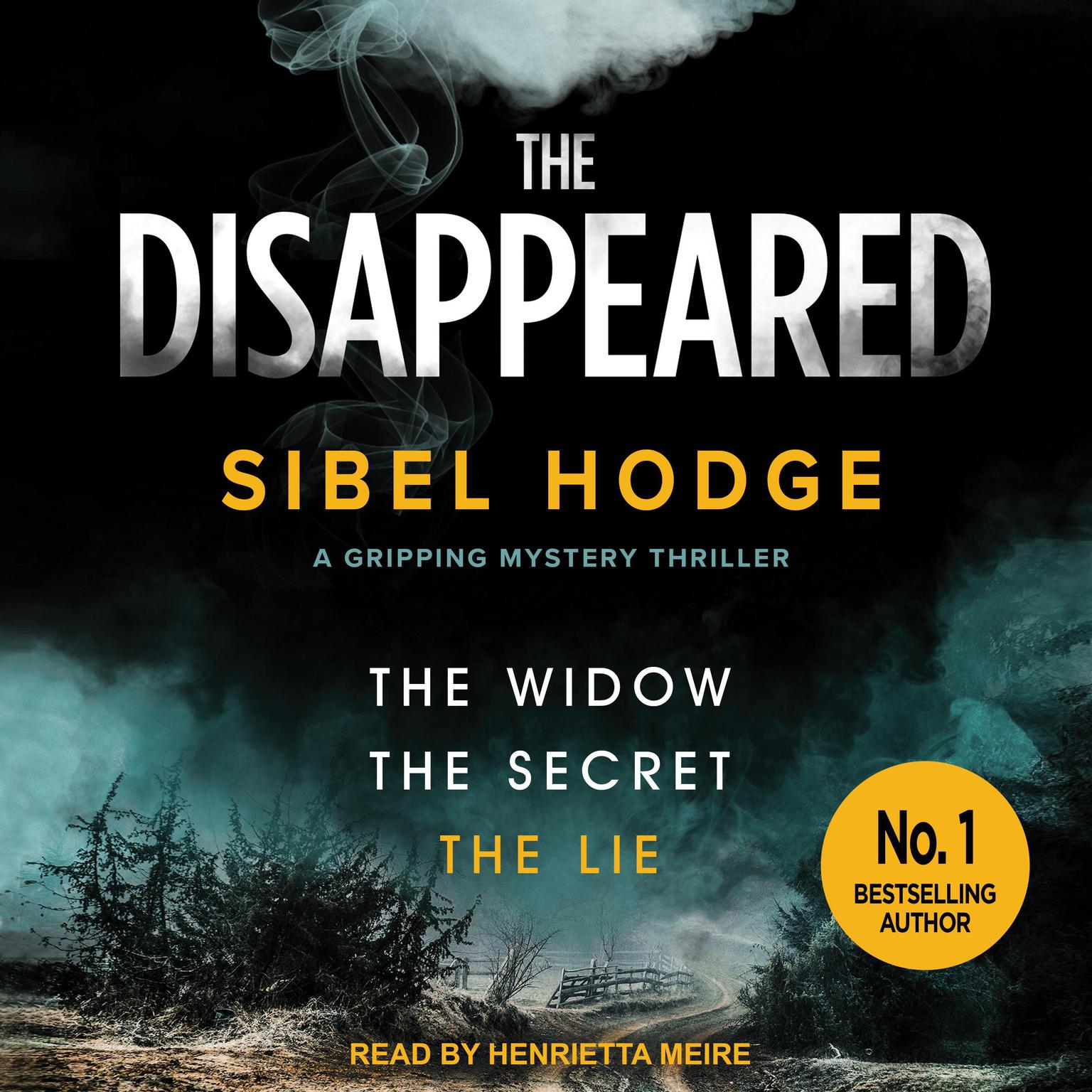 The Disappeared Audiobook, by Sibel Hodge