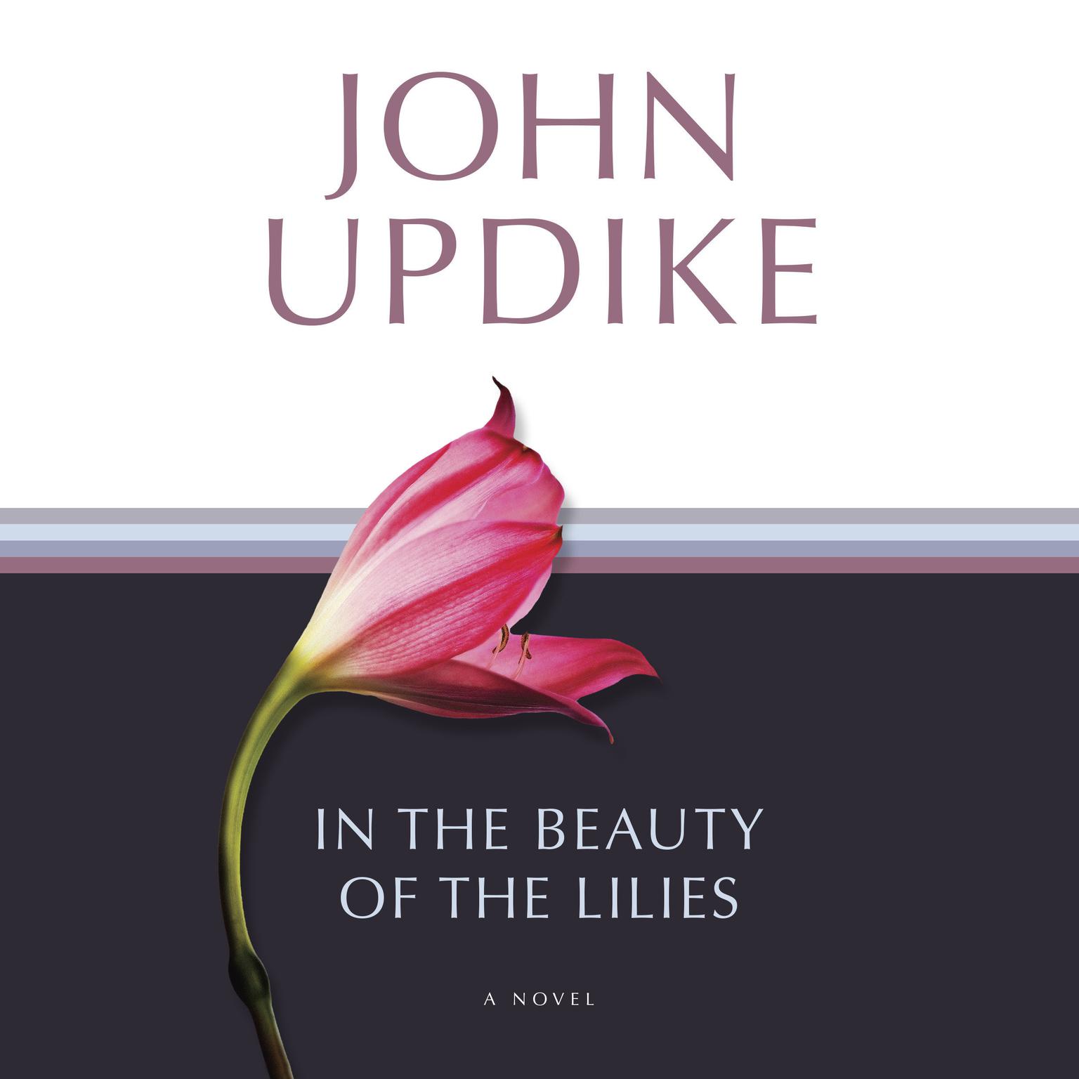 In the Beauty of the Lilies: A Novel Audiobook, by John Updike
