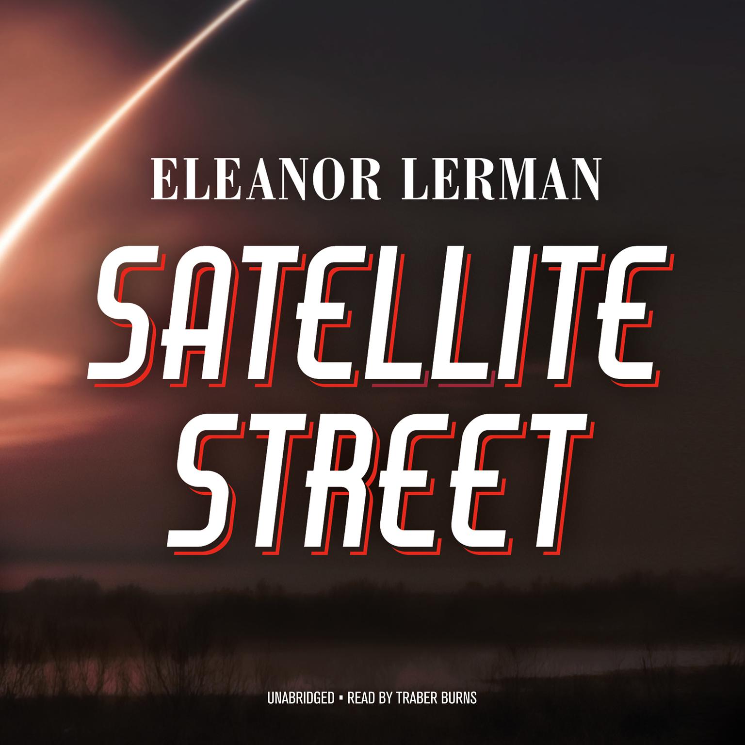 Satellite Street Audiobook, by Eleanor Lerman