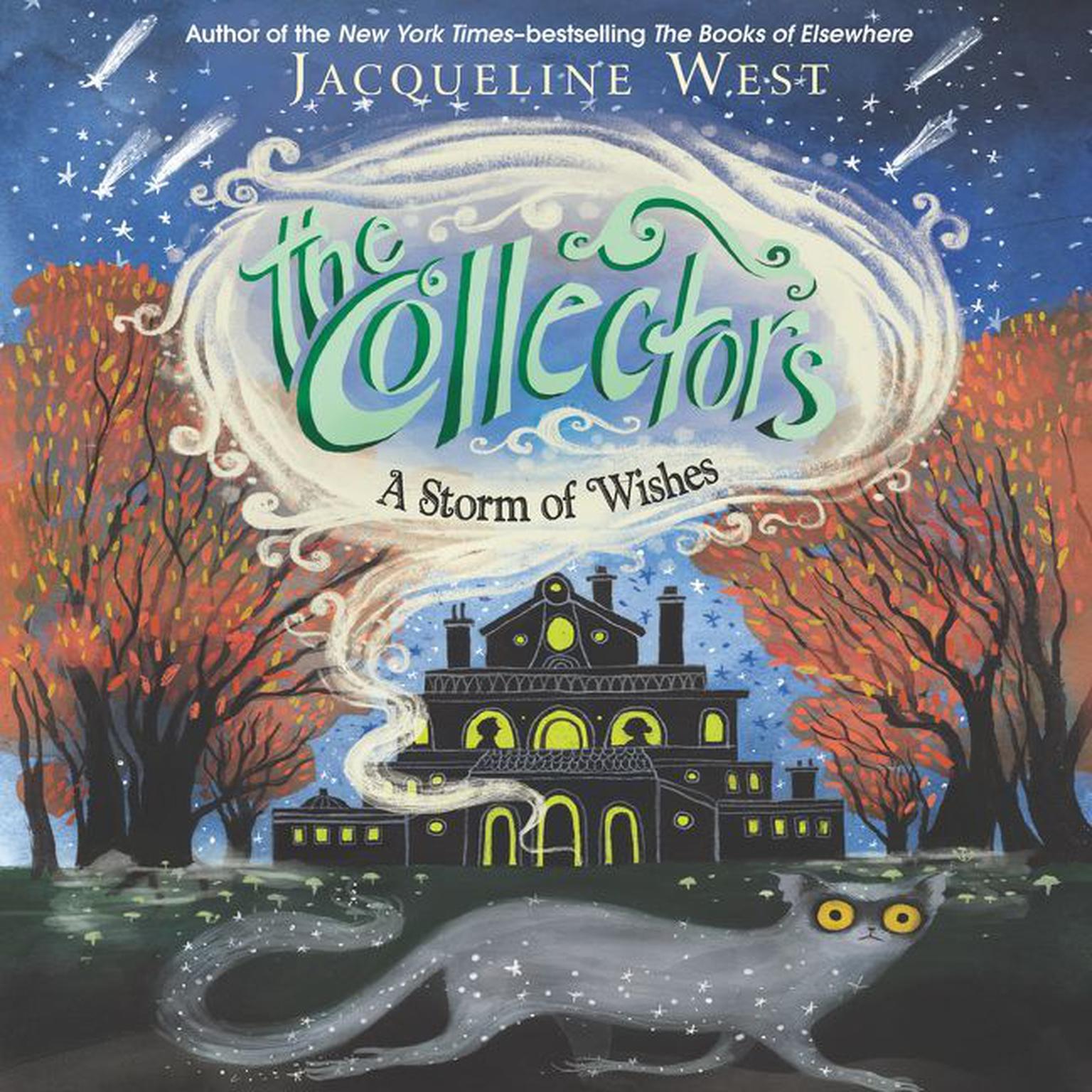 The Collectors #2: A Storm of Wishes Audiobook, by Jacqueline West