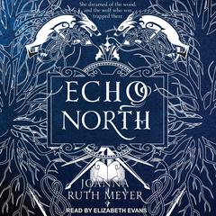 Echo North Audiobook, by Joanna Ruth Meyer