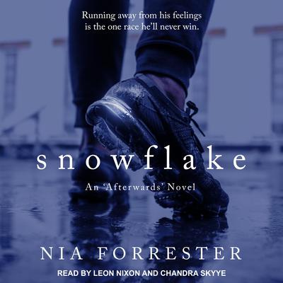 Snowflake Audiobook, by 