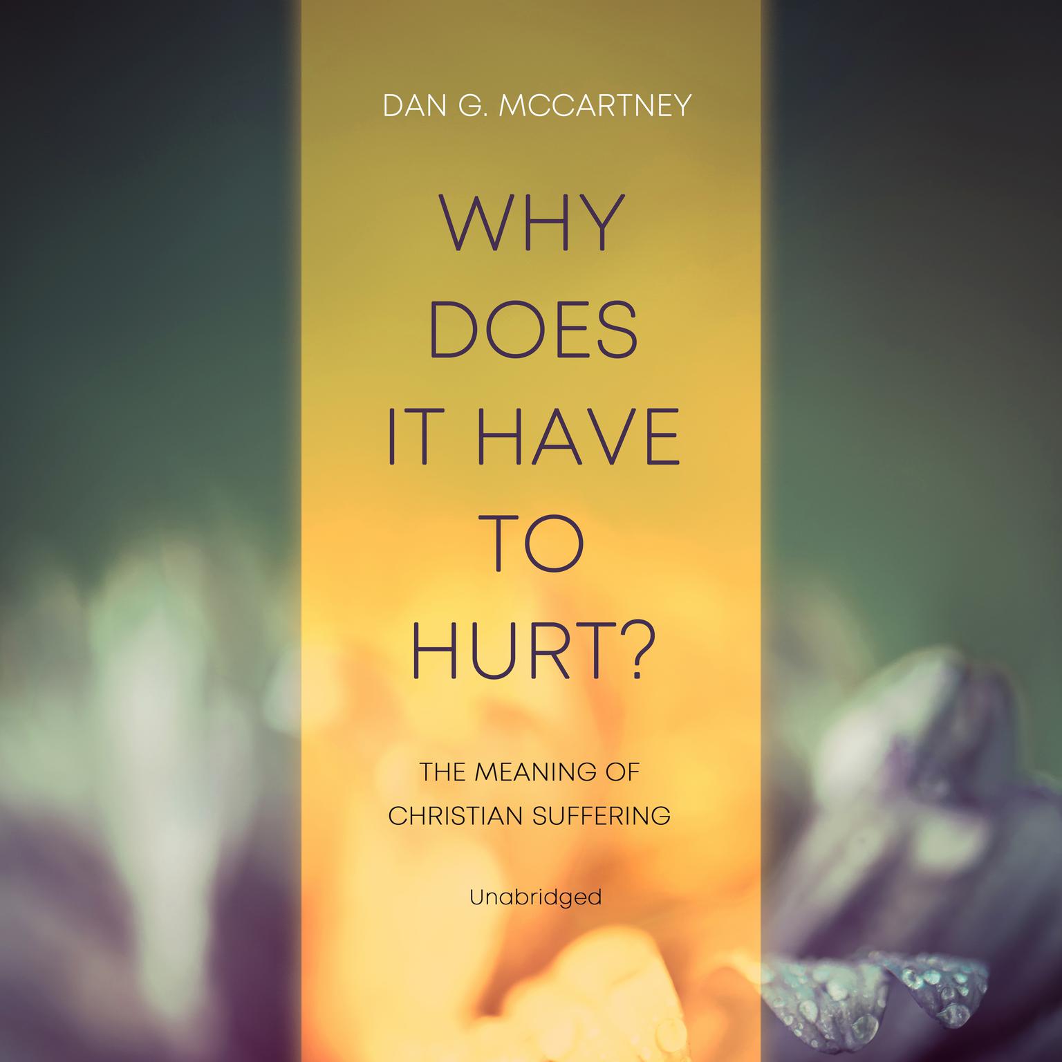 Why Does It Have to Hurt?: The Meaning of Christian Suffering Audiobook, by Dan G. McCartney