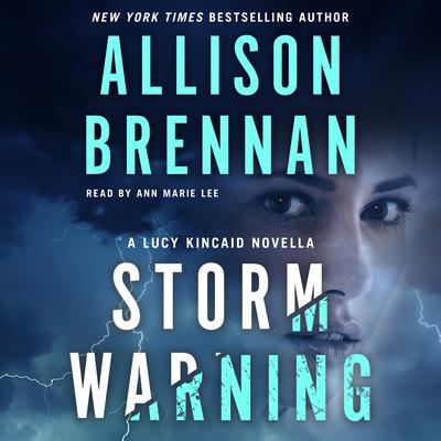 Storm Warning: A Lucy Kincaid Novella Audiobook, by Allison Brennan